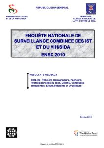 thumbnail of RAPPORT DE SYNTHESE ENSC 2010