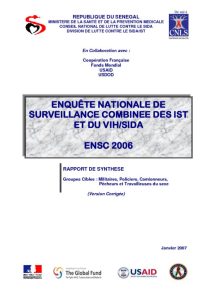 thumbnail of Rapport DE SYNTHESE ENSC 2006