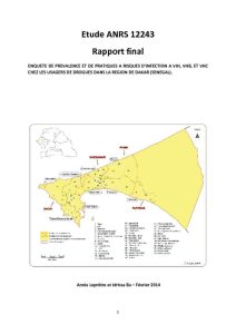 thumbnail of ENQUETE-DE-PREVALENCE-ET-DE-PRATIQUES-A-RISQUES-D’INFECTION-A-VIH-VHB-ET-VHC-CHEZ-LES-USAGERS-DE-DROGUES-DANS-LA-REGION-DE-DAKAR-1